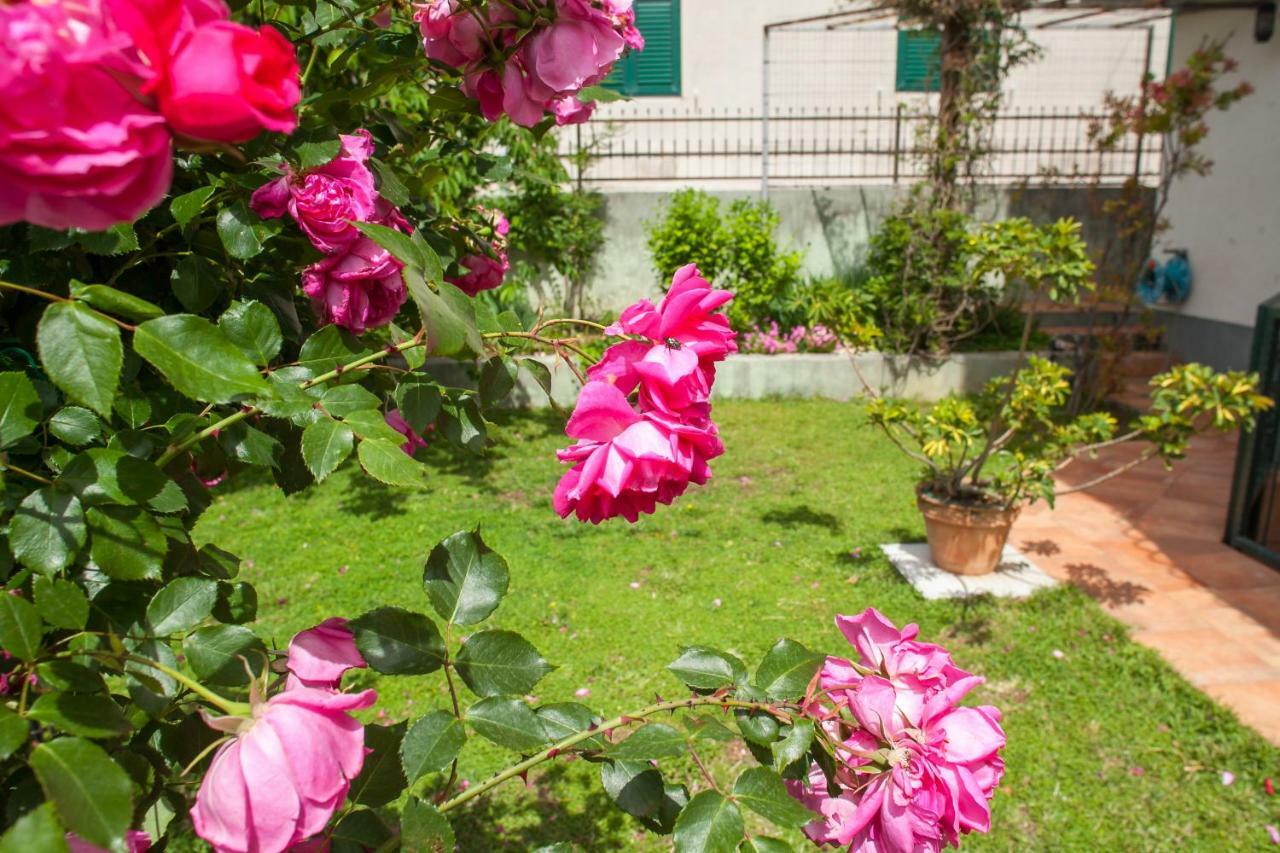 Apartment Cvjetni Dvori